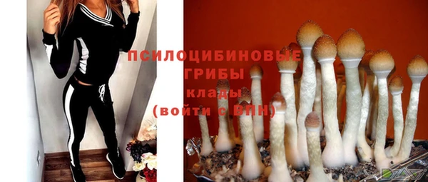 крисы Аркадак