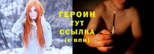шишки Арсеньев