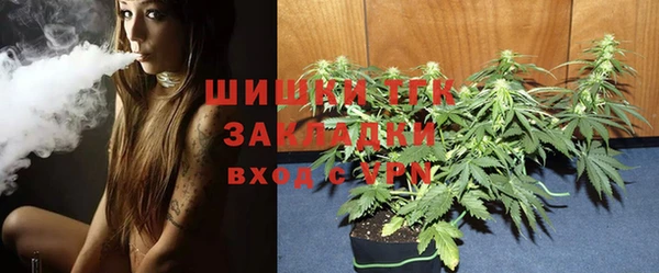 крисы Аркадак