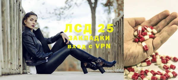 шишки Арсеньев