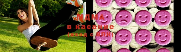 шишки Арсеньев