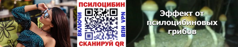 площадка официальный сайт блэк спрут вход Галлюциногенные грибы Magic Shrooms Южно-Сахалинск что такое